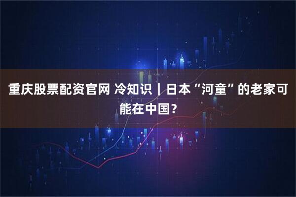重庆股票配资官网 冷知识｜日本“河童”的老家可能在中国？