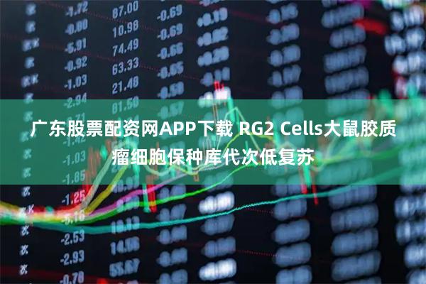 广东股票配资网APP下载 RG2 Cells大鼠胶质瘤细胞保种库代次低复苏