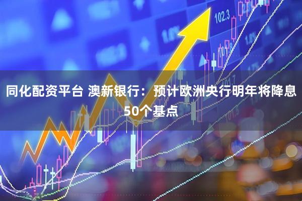 同化配资平台 澳新银行：预计欧洲央行明年将降息50个基点