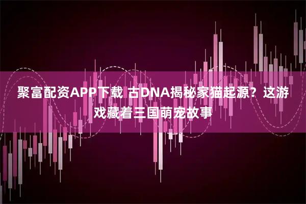 聚富配资APP下载 古DNA揭秘家猫起源？这游戏藏着三国萌宠故事