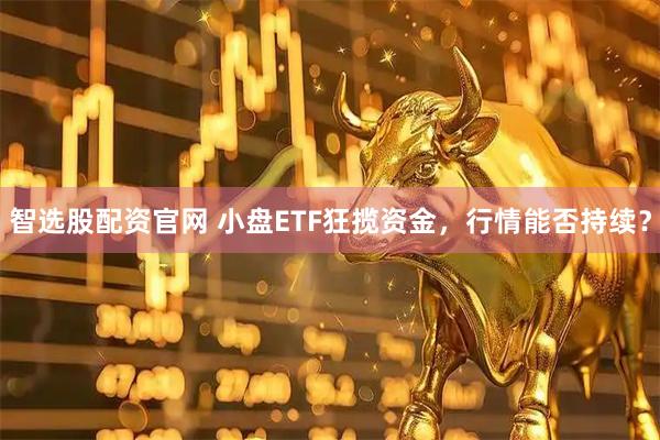 智选股配资官网 小盘ETF狂揽资金，行情能否持续？