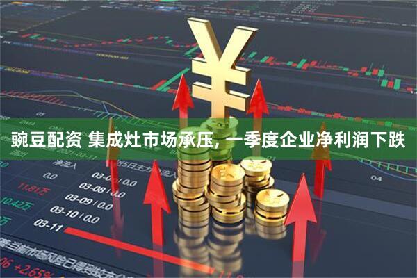 豌豆配资 集成灶市场承压, 一季度企业净利润下跌