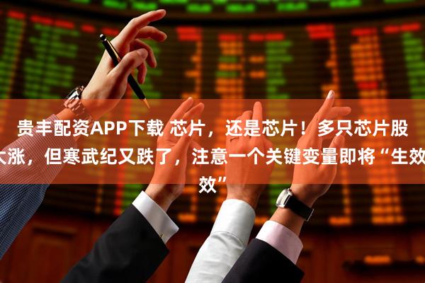 贵丰配资APP下载 芯片，还是芯片！多只芯片股大涨，但寒武纪又跌了，注意一个关键变量即将“生效”