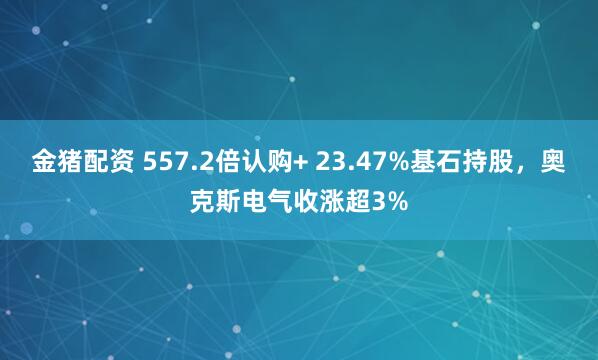 金猪配资 557.2倍认购+ 23.47%基石持股，奥克斯电气收涨超3%